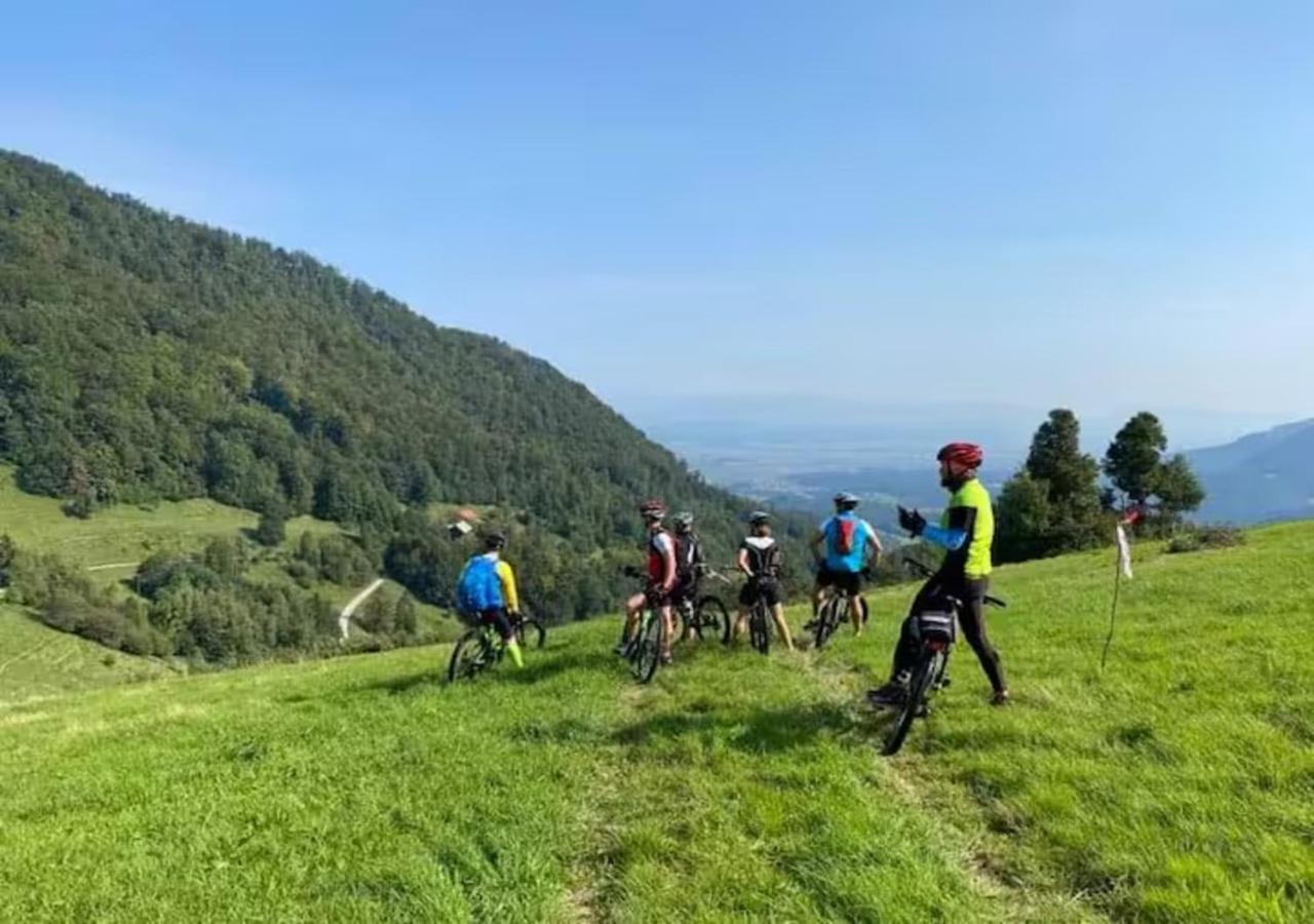 Villa Turisticna Kmetija Weiss Miklavz pri Taboru Exterior foto