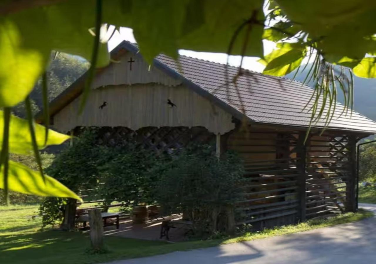 Villa Turisticna Kmetija Weiss Miklavz pri Taboru Exterior foto
