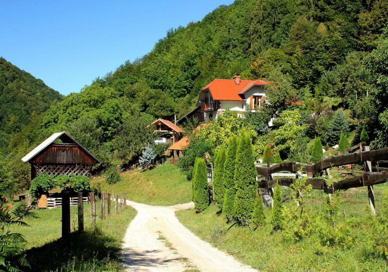 Villa Turisticna Kmetija Weiss Miklavz pri Taboru Exterior foto